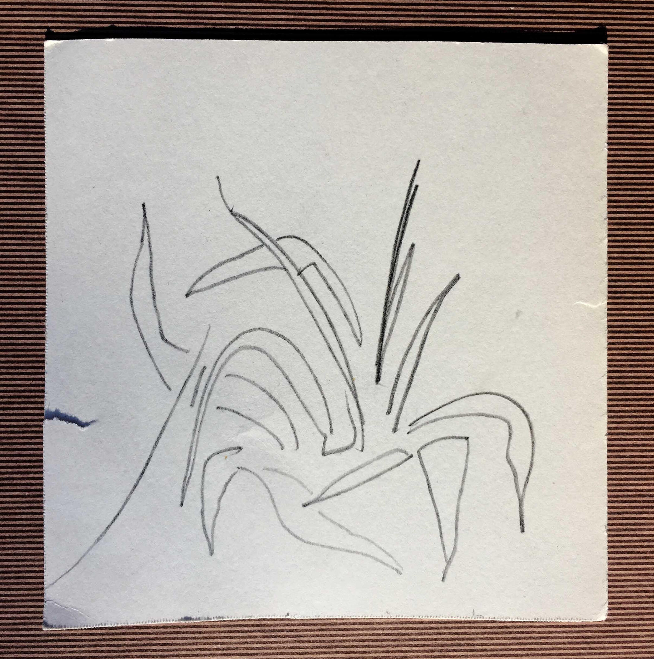 1sept22 pencil on paper 5x5in 12x12cm