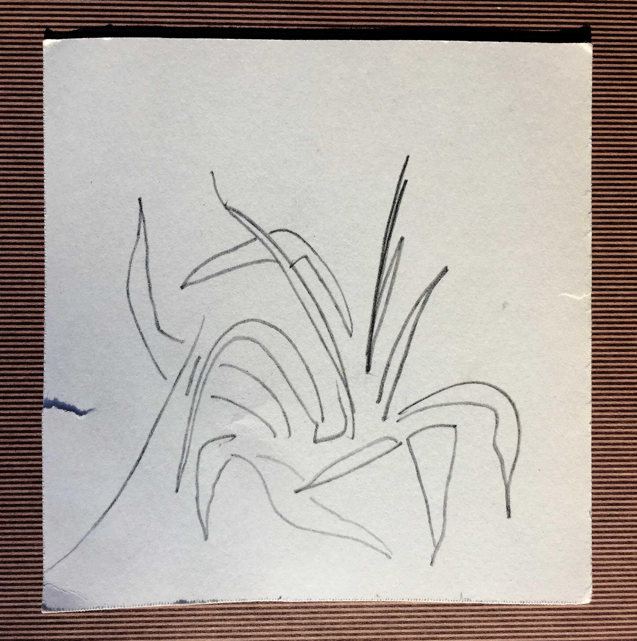 1sept22 pencil on paper 5x5in 12x12cm
