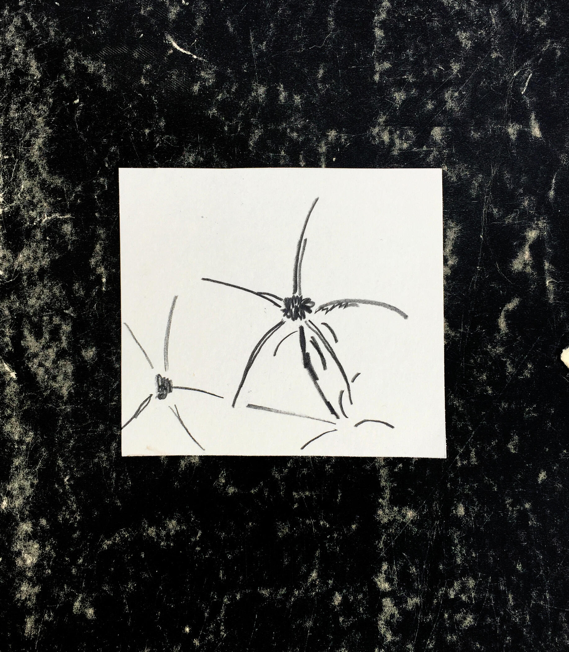 31aug22ã…¤pencil on paperã…¤9.8x8.8 cmã…¤3.9x3.5 in