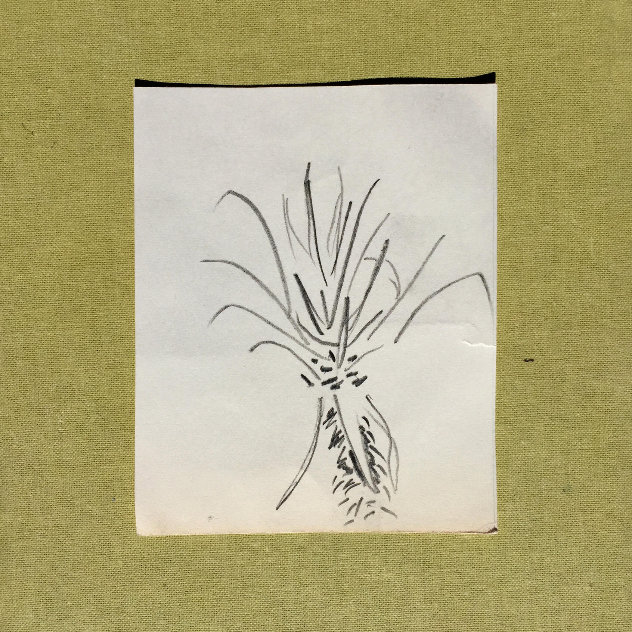 7sept22ㅤㅤㅤpencil on paperㅤㅤㅤ8.8x11 cmㅤㅤㅤ3.4x4.3 in